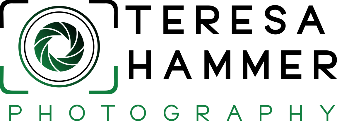 THP – Schools & Sports | Northern Illinois